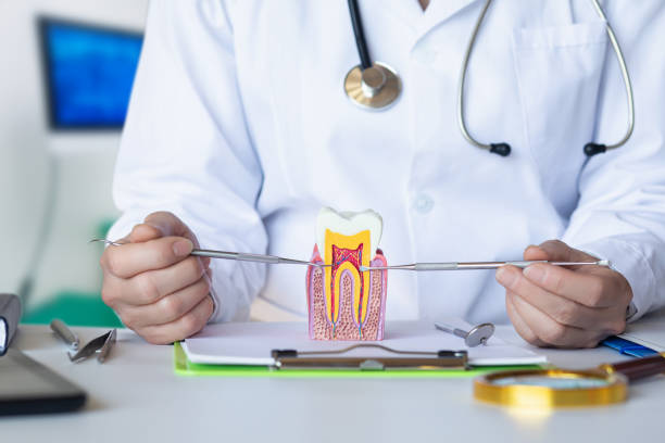 Best Emergency Tooth Extraction in Mclouth, KS